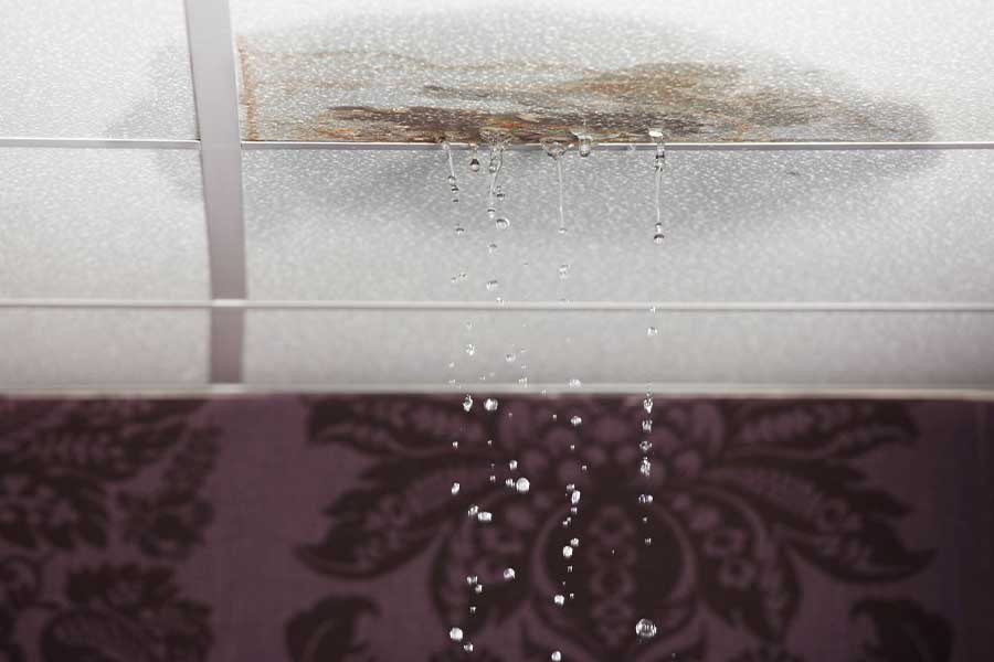 Water Leak Repair Services in Parker, CO